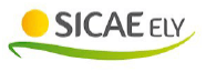 image12.png